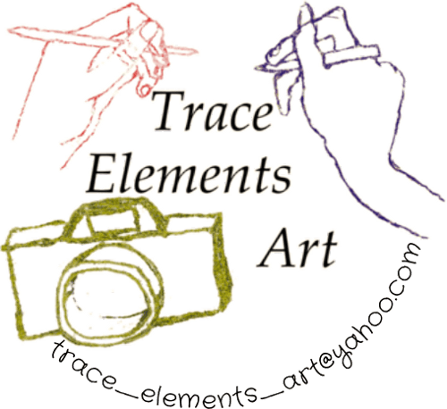 Trace Elements Art logo of 2 hands and a camera