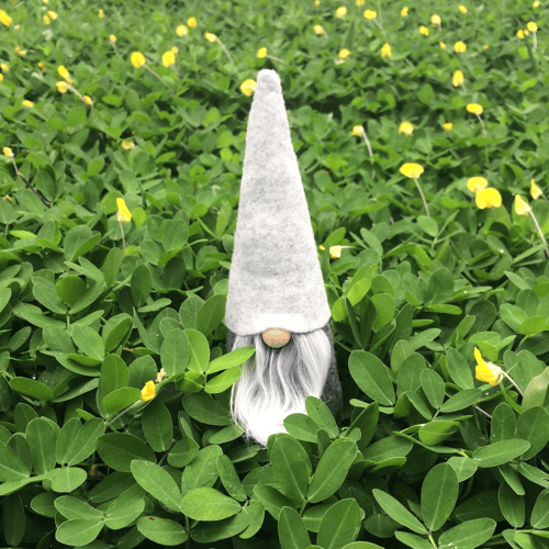 Meet the Heart and Soul of Tomte Studio: Discover the Enchanting Tomte Character