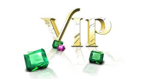partners with vip books