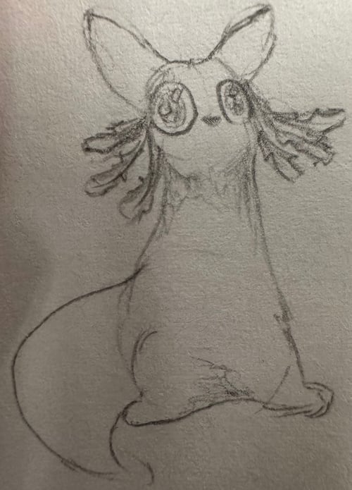 sketch of rivulet slugcat from rain world