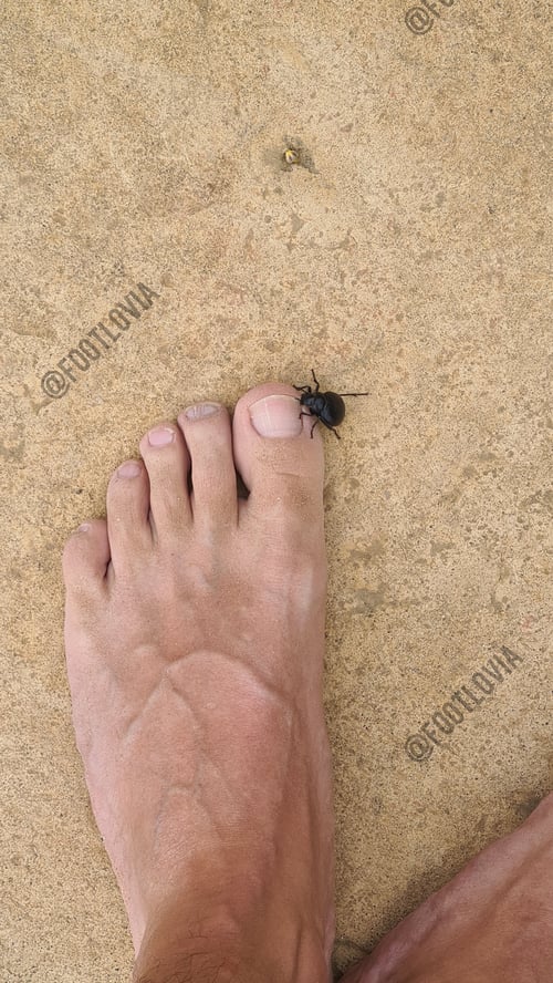 Footlovia