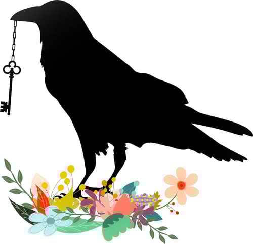 A raven holds the key to WA Detective Trails puzzle walks
