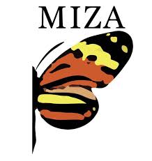 Museo MIZA - Universidad Central de Venezuela (UCV)