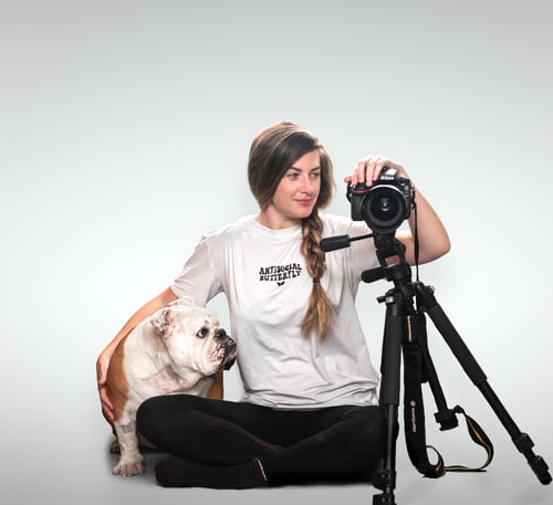 Pawtistic Media No Regrets Dog Parent Bundle
