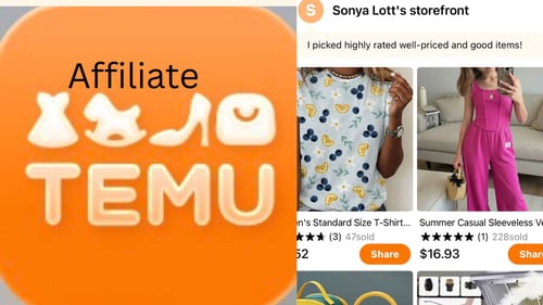 Shop my Temu affiliate Page