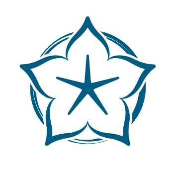 sirus.notes logo