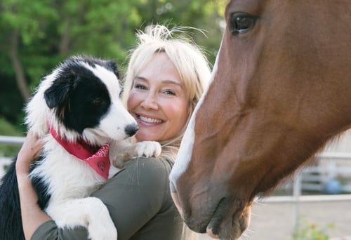 Dina Zaphiris Dogs Horses