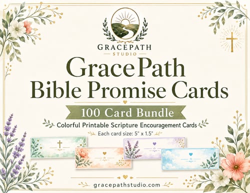 100 Bible Promise Cards cover