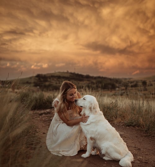 breeder behind Vera Mountain Goldens, with a white golden retriever in a field at sunset.