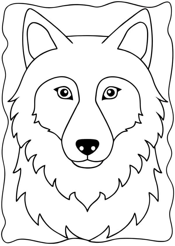 Cute Animal Coloring Pages: 25 Designs