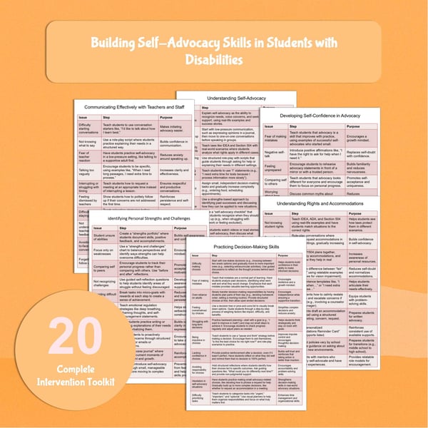 Self-Advocacy Skills Toolkit for Students