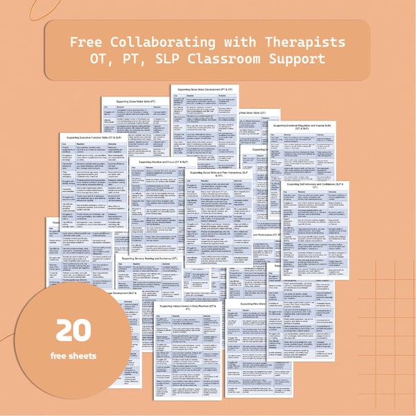 OT PT SLP Classroom Support Guide: 20 Sheets