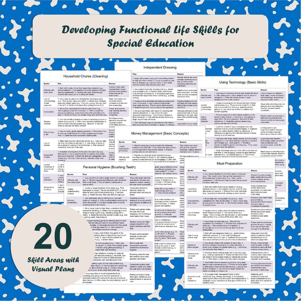 Functional Life Skills Toolkit: 20 Areas