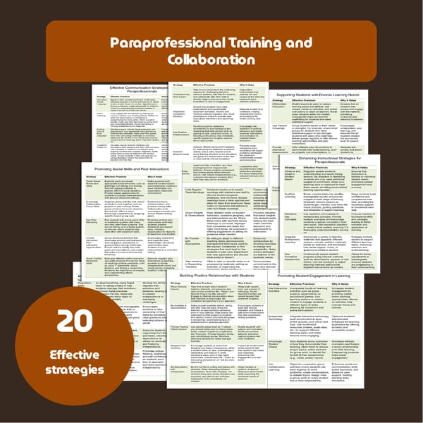 Paraprofessional Training Guide: 20 Strategies
