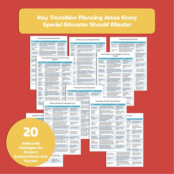 Transition Planning Strategies: 20 Areas