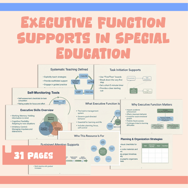 Executive Function Supports in Special Education