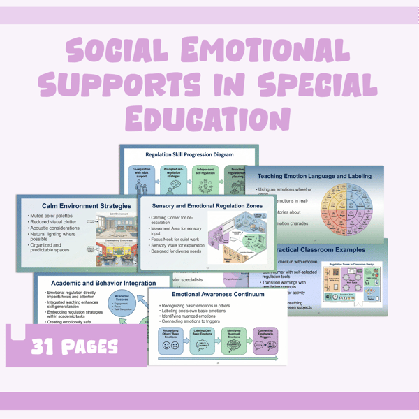 Social-Emotional Supports in Special Education