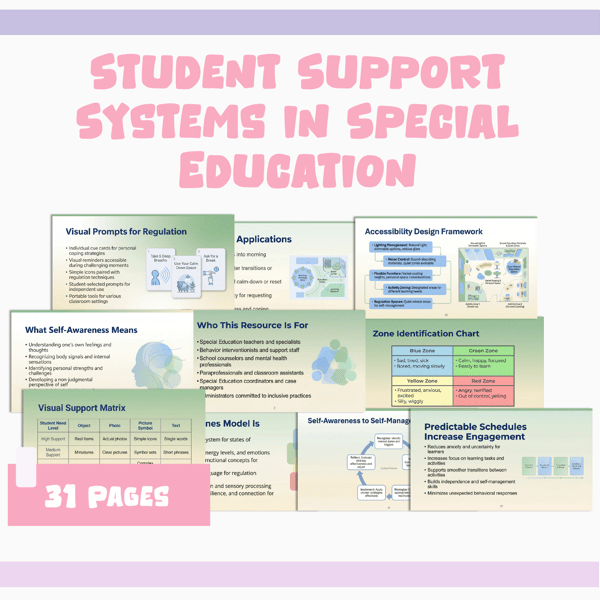 Student Support Systems in Special Education