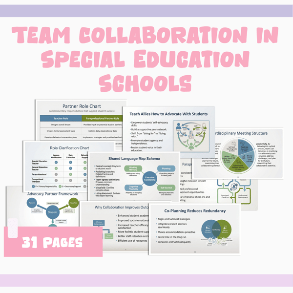 Team Collaboration in Special Education Schools
