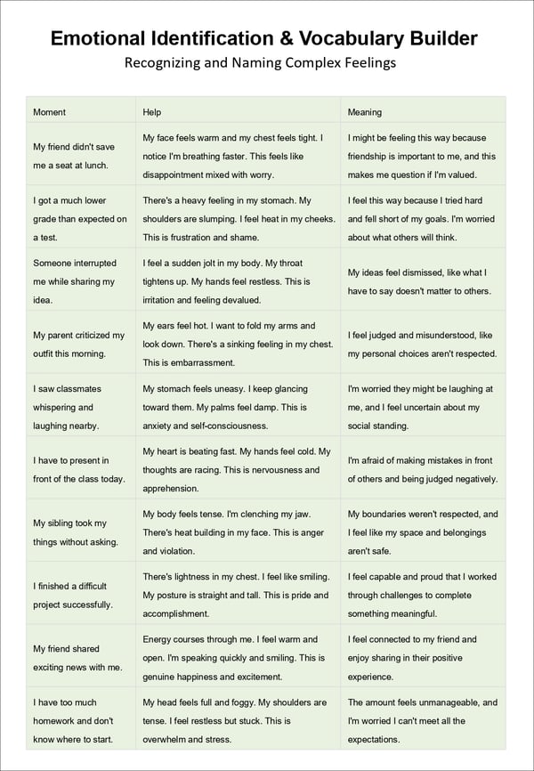 Emotional Regulation Strategies for Middle School Students