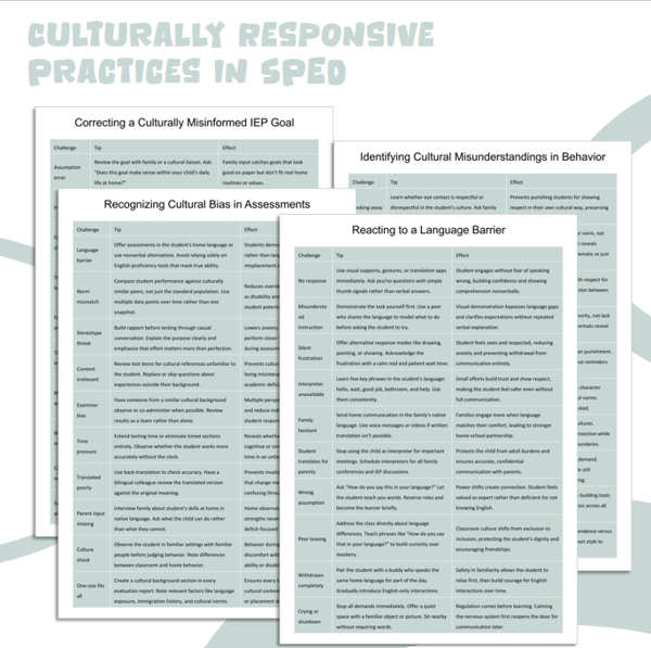 Culturally Responsive Practices in SPED