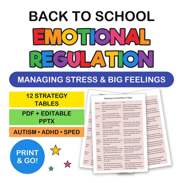 Back to School Emotional Regulation Supports | Managing Stress & Big Feelings