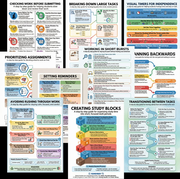 Executive Functioning for Daily Success | 10 Classroom Posters