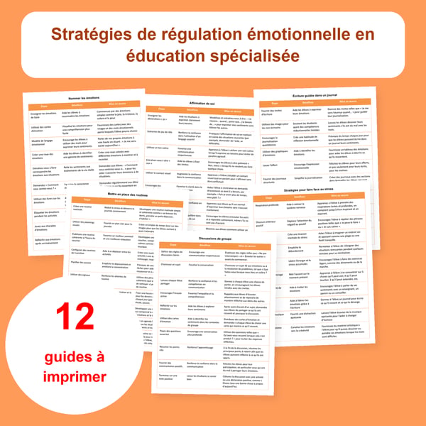 Régulation émotionnelle : 12 tableaux en éducation spécialisée | PDF + PowerPoint