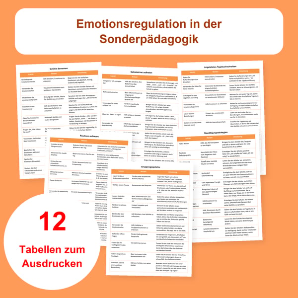 Emotionsregulation: 12 Tabellen für die Sonderpädagogik | PDF + PowerPoint