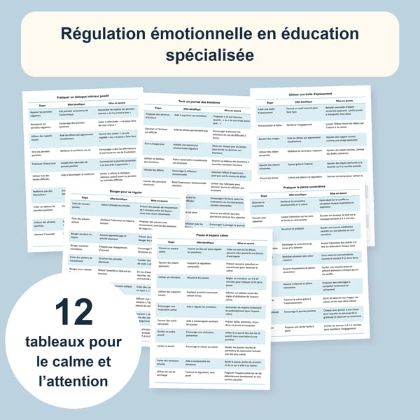 Calme et concentration : 12 tableaux de régulation émotionnelle | PDF + PowerPoint