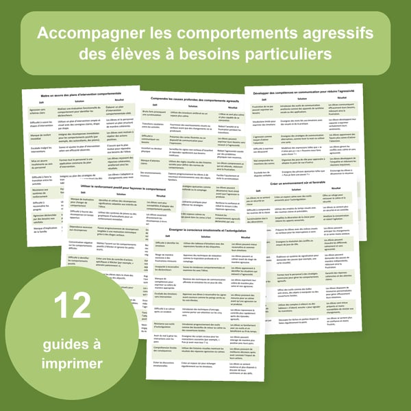 Comportements agressifs : 12 tableaux pour l’éducation spécialisée | PDF + PowerPoint