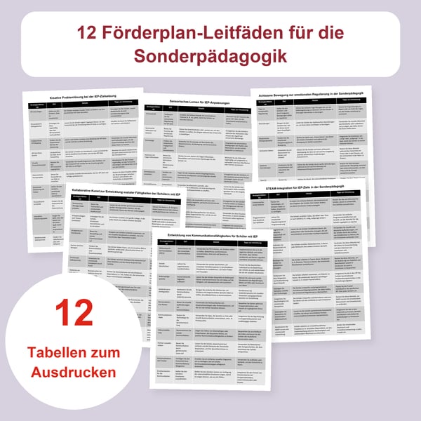 Förderplan-Strategien für die Sonderpädagogik: 12 Leitfäden | PDF + bearbeitbares PowerPoint