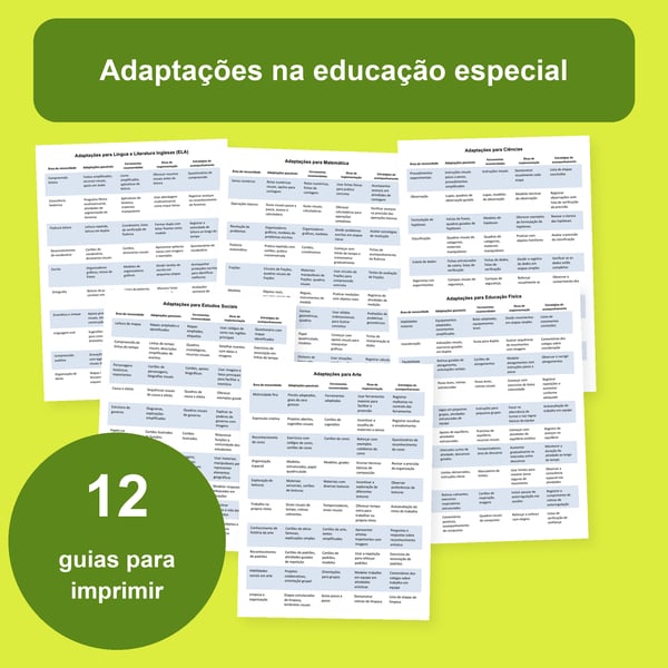 Adaptações na educação especial: 12 tabelas por área | PDF + PowerPoint editável