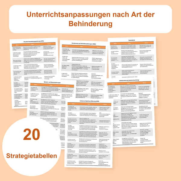 Unterrichtsanpassungen nach Behinderungsart: 20 Tabellen | PDF + PowerPoint