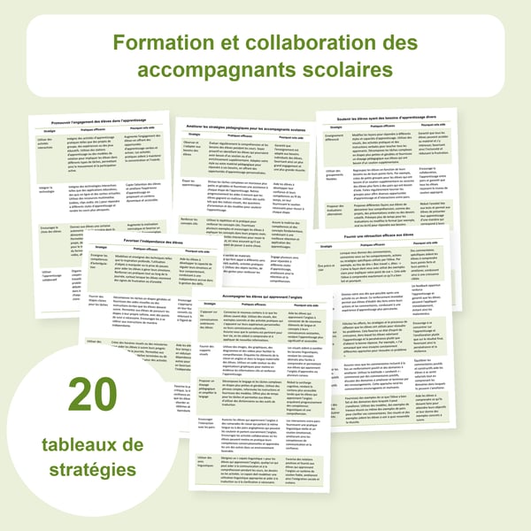 Accompagnants scolaires : formation et collaboration, 20 tableaux | PDF + PowerPoint