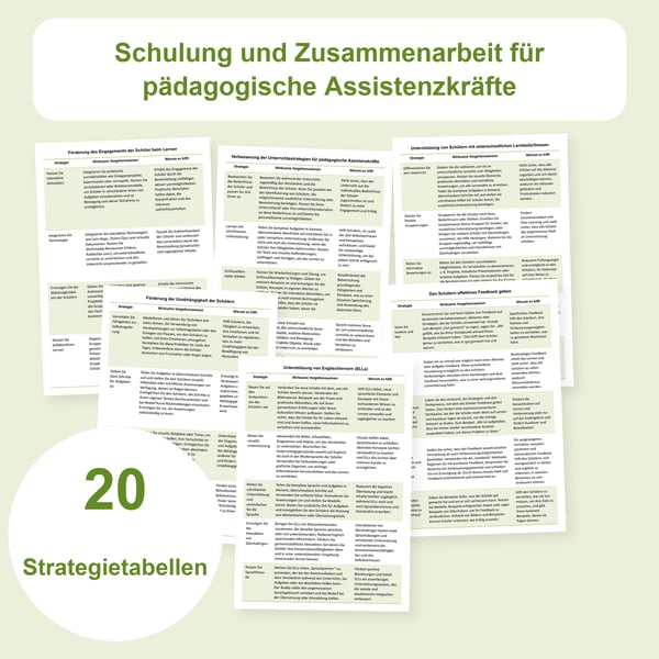 Schulbegleitung: Schulung und Zusammenarbeit, 20 Tabellen | PDF + PowerPoint