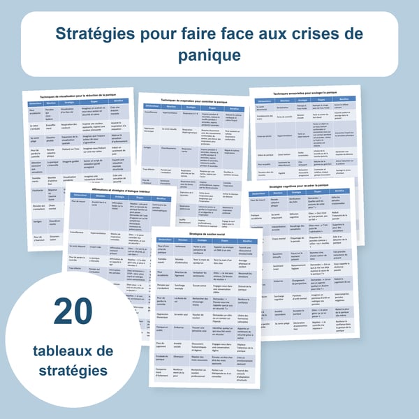 Crises de panique : 20 tableaux de stratégies et repères | PDF + PowerPoint