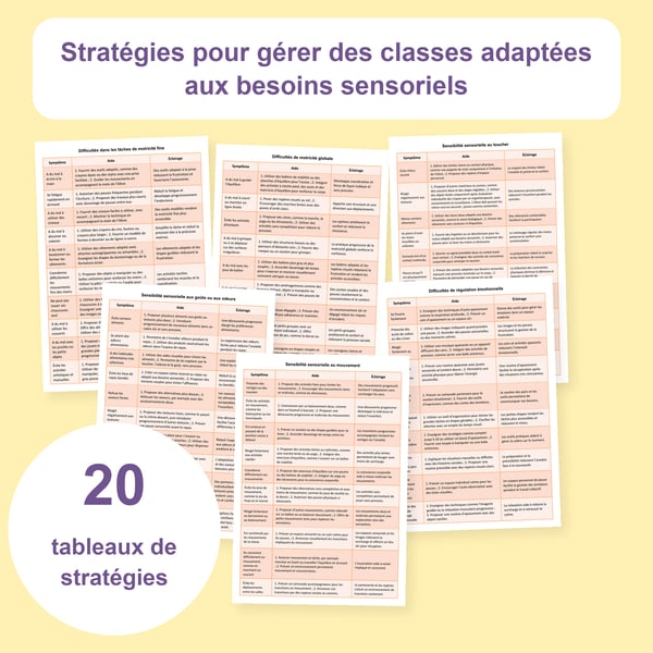 Classe adaptée aux besoins sensoriels : 20 tableaux de stratégies | PDF + PowerPoint