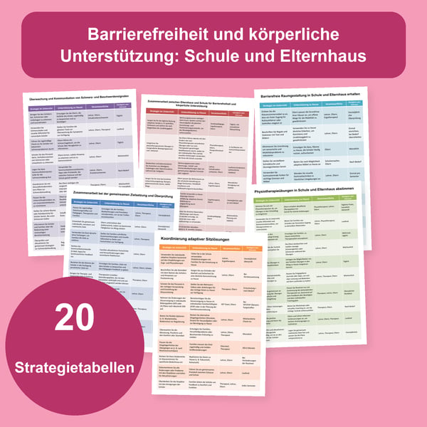 Barrierefreiheit und körperliche Unterstützung | 20 Tabellen PDF + PowerPoint
