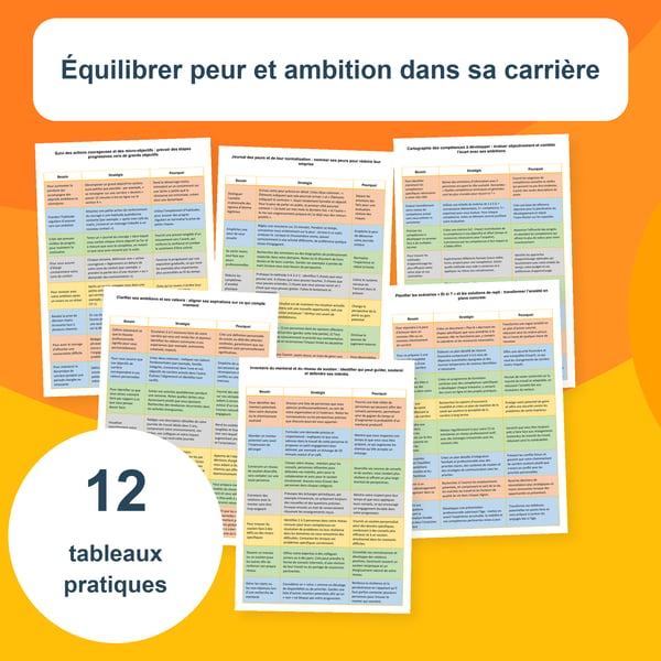 Carrière : peur et ambition | 12 tableaux PDF + PowerPoint