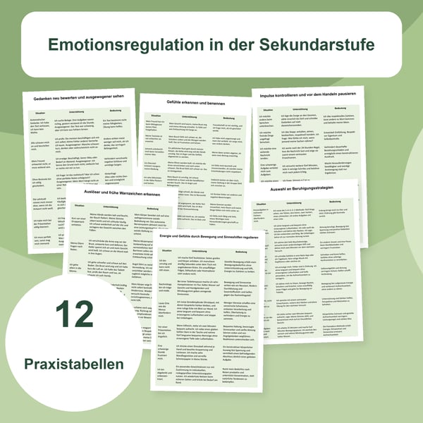 Gefühle regulieren in der Mittelstufe | 12 Tabellen PDF + PowerPoint