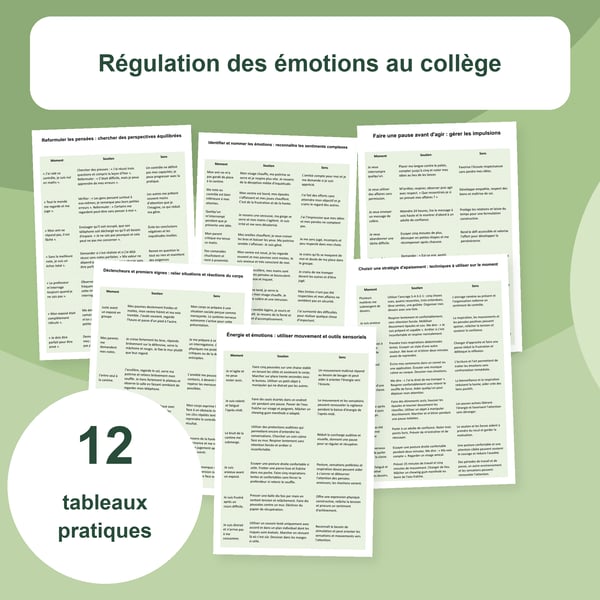 Régulation émotionnelle au collège | 12 tableaux PDF + PowerPoint