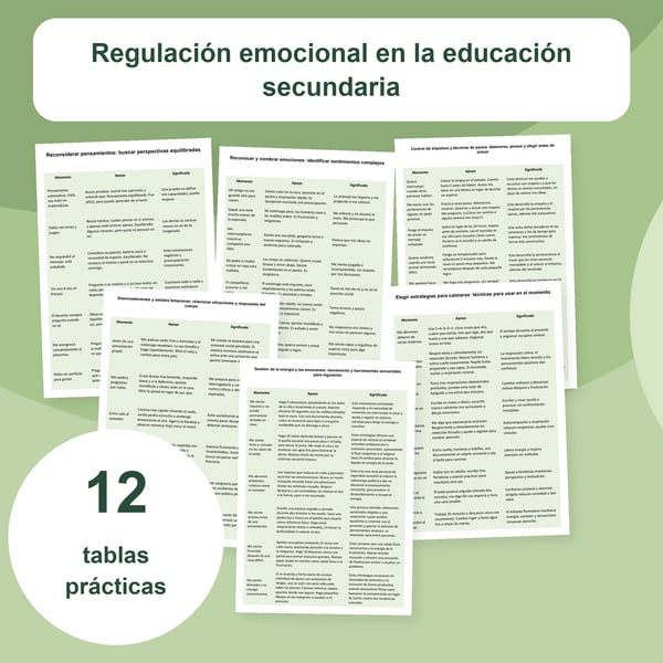 Regulación emocional en secundaria | 12 tablas PDF + PowerPoint