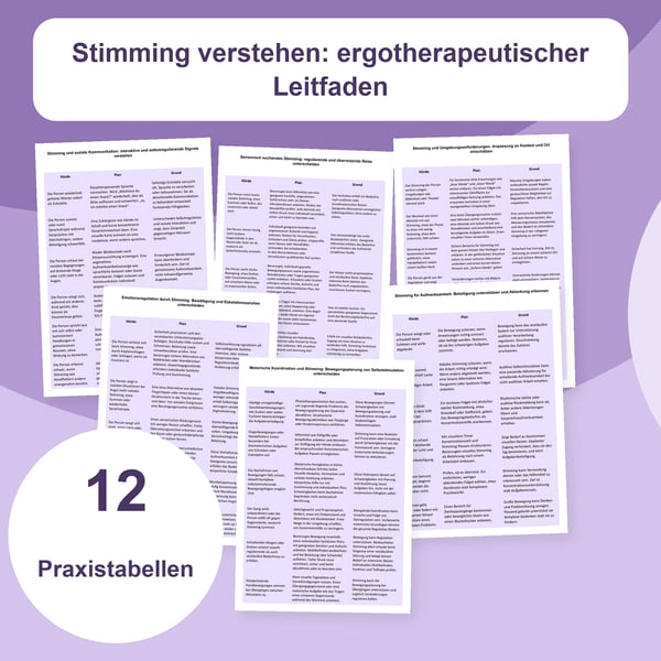 Stimming und Selbstregulation: Praxisleitfaden | 12 Tabellen PDF + PowerPoint