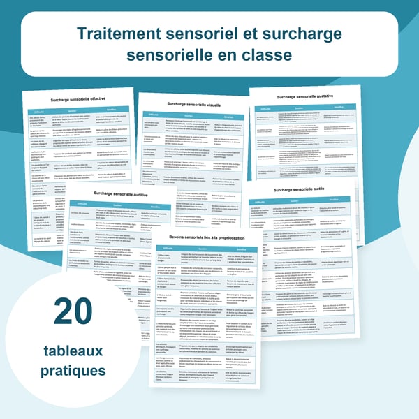 Surcharge sensorielle en classe : 20 tableaux et 197 situations | PDF + PowerPoint