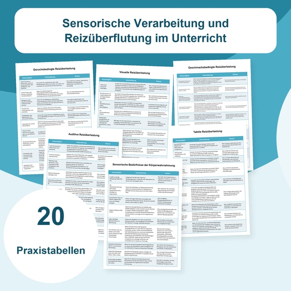 Sensorische Überlastung im Unterricht: 20 Tabellen und 197 Situationen | PDF + PowerPoint