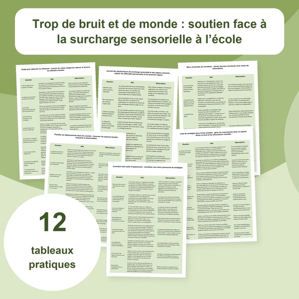 Surcharge sensorielle à l’école : 12 tableaux | PDF + PowerPoint modifiable