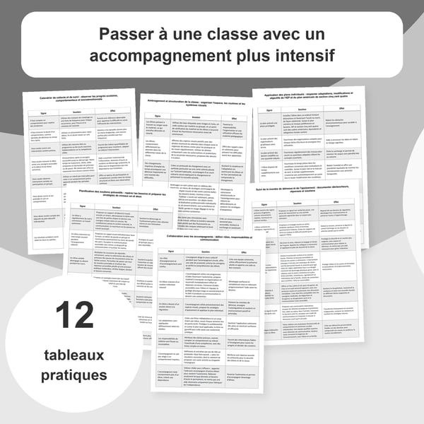 Classe à soutien intensif : organisation et adaptations | 12 tableaux PDF + PowerPoint
