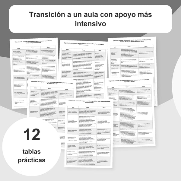 Aula con apoyo intensivo: organización y adaptaciones | 12 tablas PDF + PowerPoint