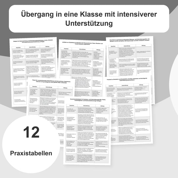 Klasse mit intensivem Unterstützungsbedarf: Organisation | 12 Tabellen PDF + PowerPoint